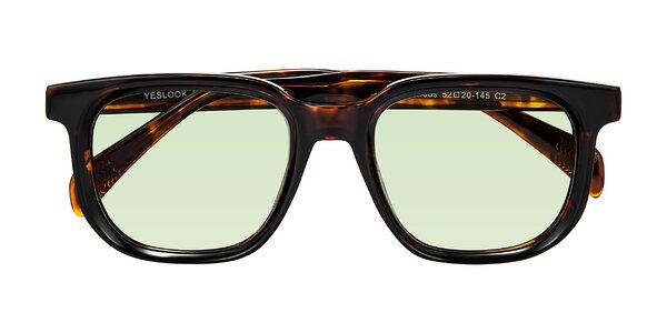Front of Mysterious in Dark Tortoise