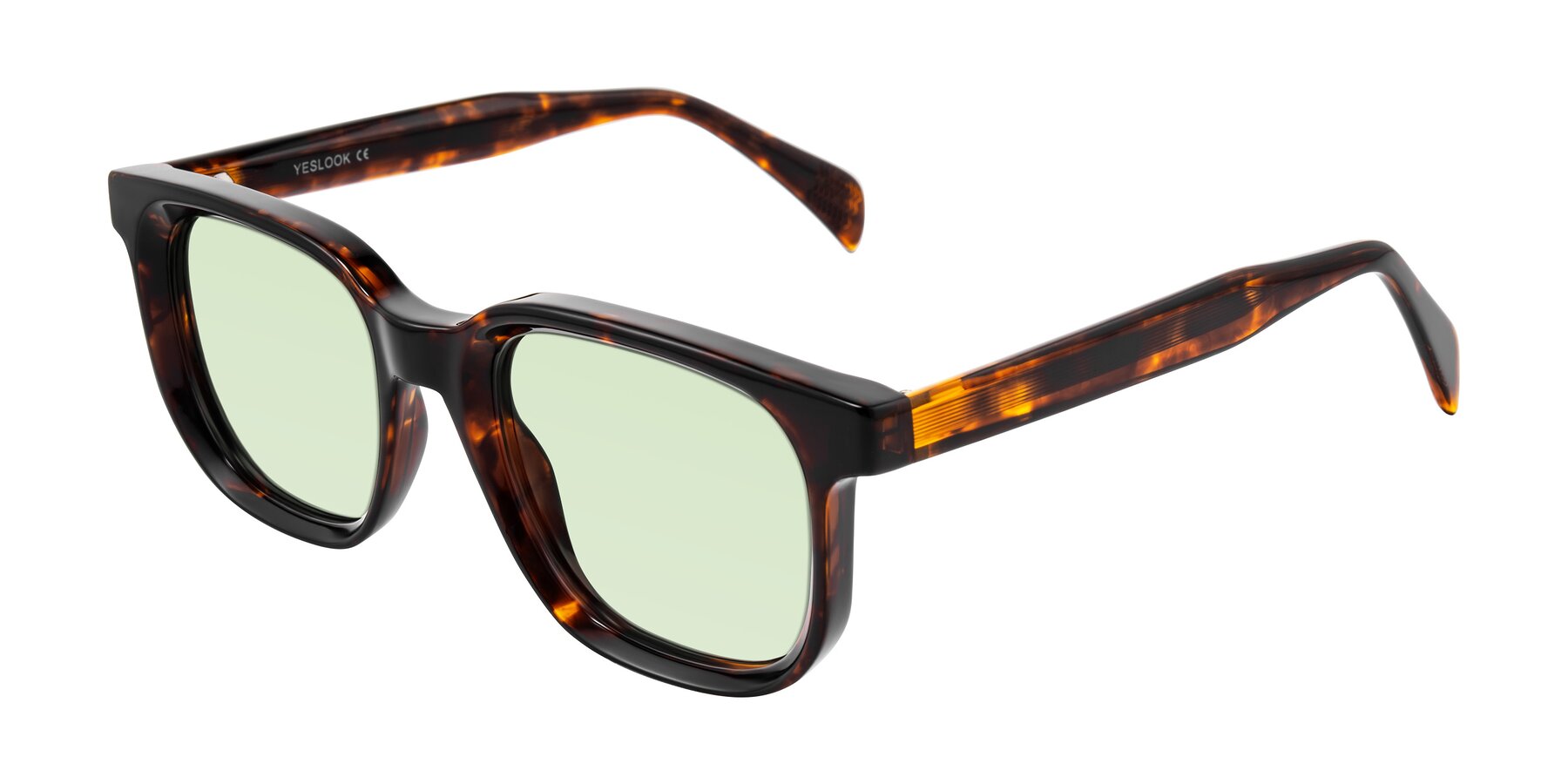 Angle of Mysterious in Dark Tortoise with Light Green Tinted Lenses