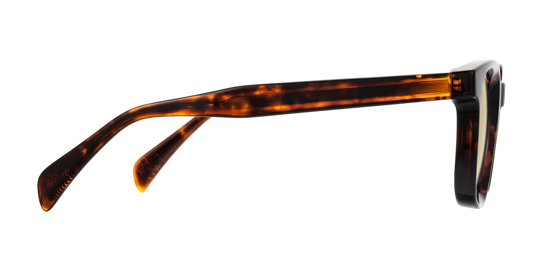 Side of Mysterious in Dark Tortoise with Light Champagne Tinted Lenses