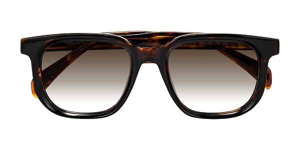 Front of Mysterious in Dark Tortoise