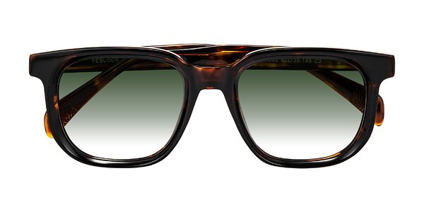 Front of Mysterious in Dark Tortoise