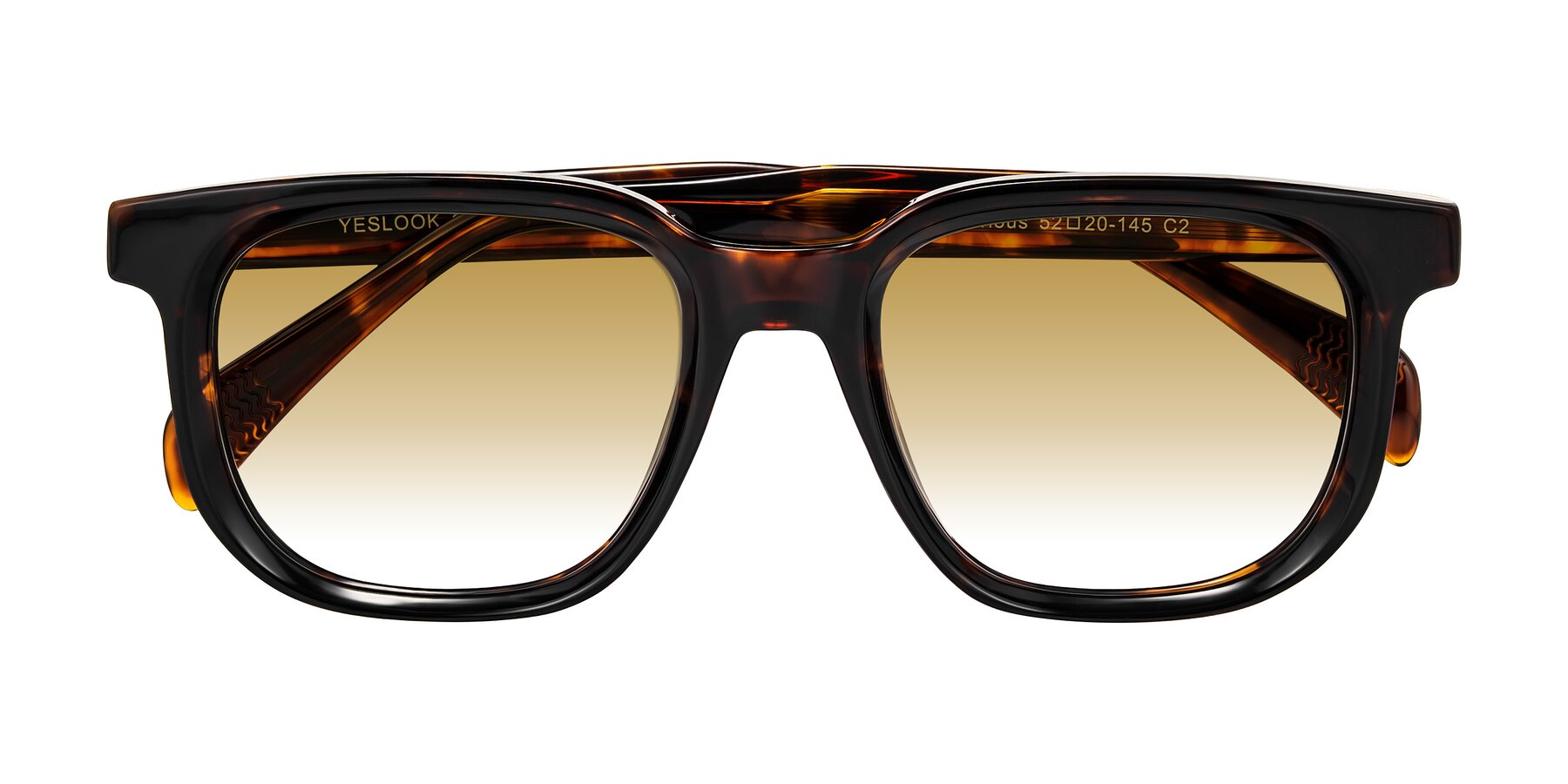 Folded Front of Mysterious in Dark Tortoise with Champagne Gradient Lenses