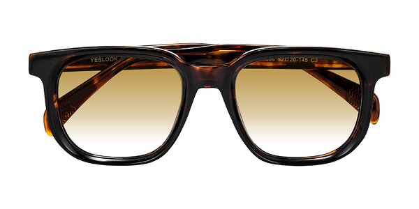 Front of Mysterious in Dark Tortoise