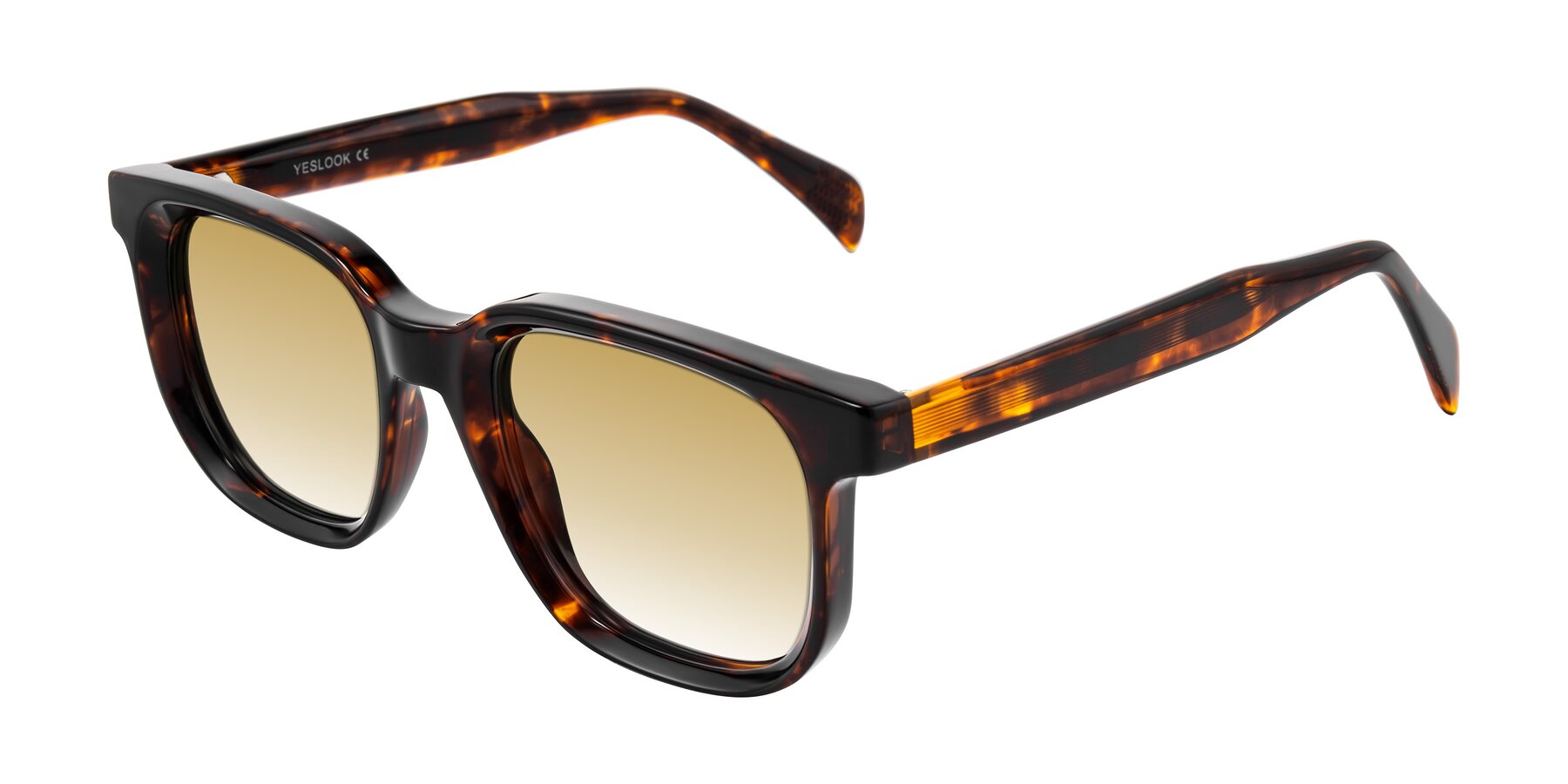 Angle of Mysterious in Dark Tortoise with Champagne Gradient Lenses