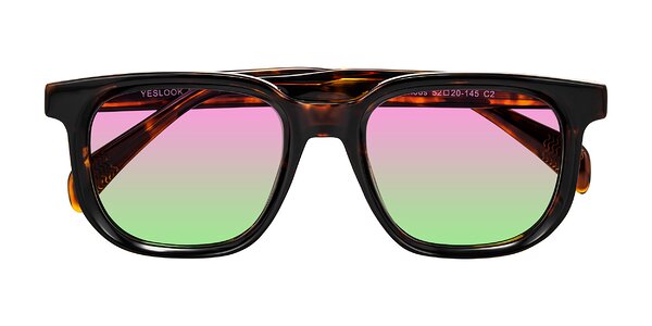 Front of Mysterious in Dark Tortoise