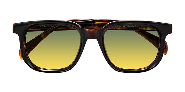 Front of Mysterious in Dark Tortoise