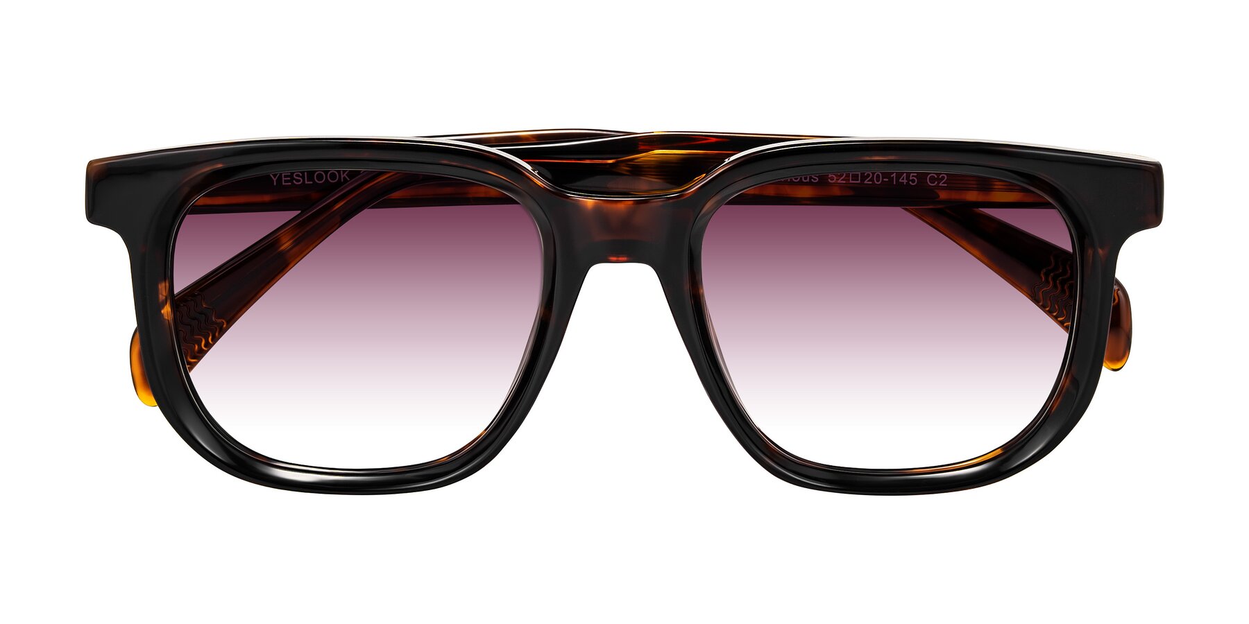 Folded Front of Mysterious in Dark Tortoise with Wine Gradient Lenses