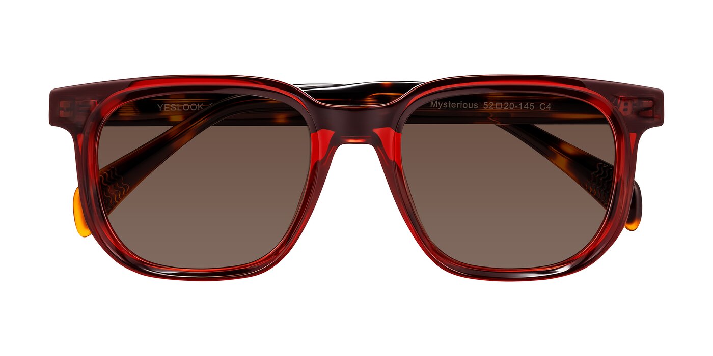 Mysterious - Wine/Tortoise Tinted Sunglasses
