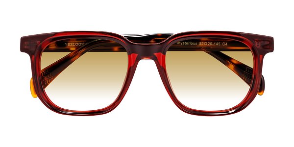 Front of Mysterious in Wine/Tortoise