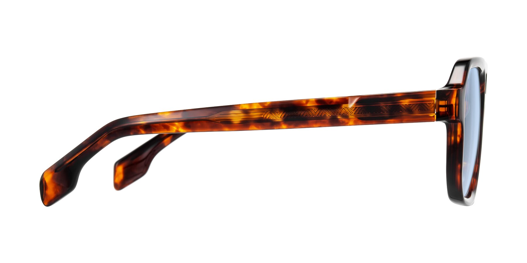Side of Beizaai in Tortoise with Light Blue Tinted Lenses
