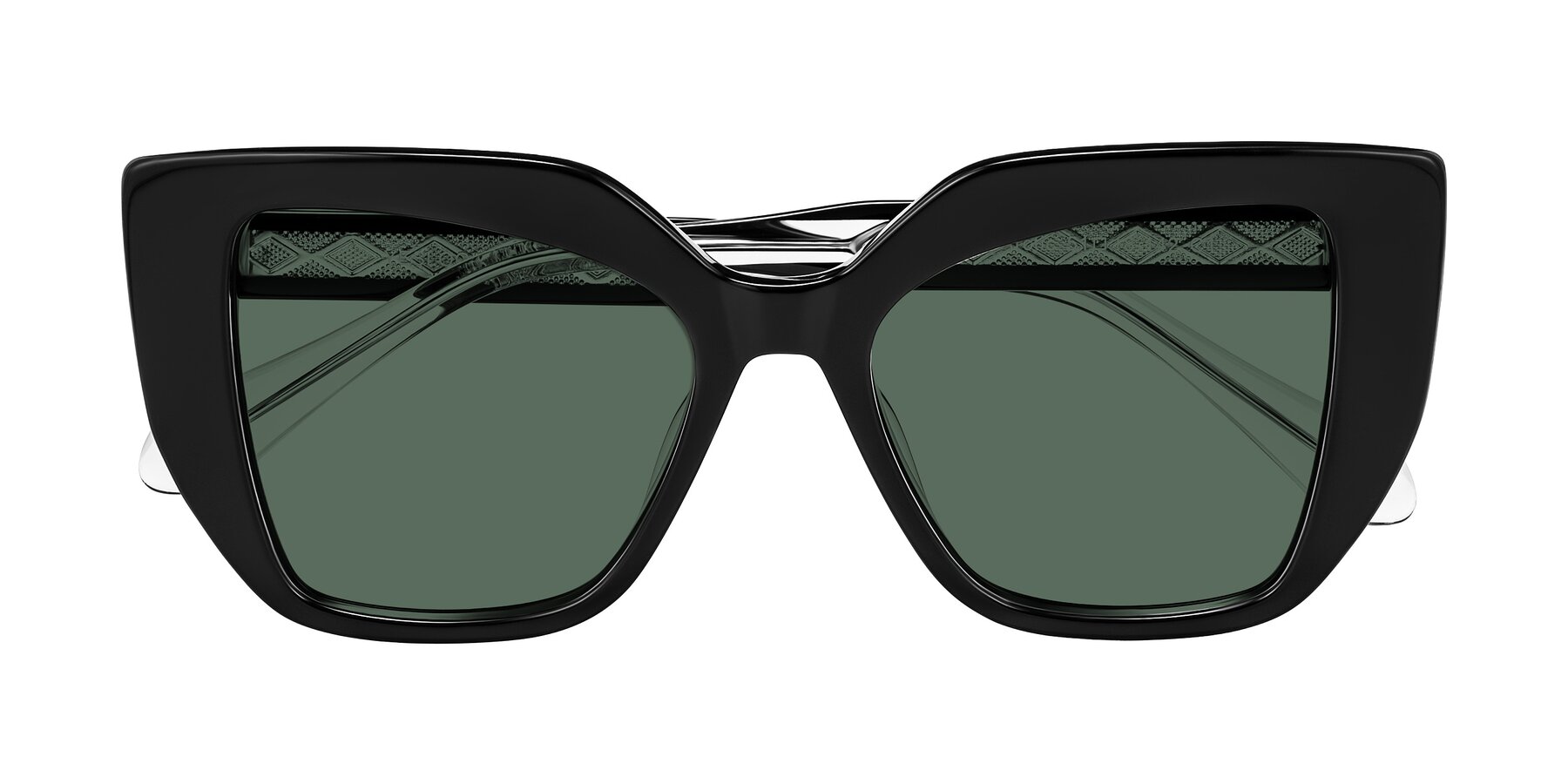 Folded Front of Arctic in Black with Green Polarized Lenses