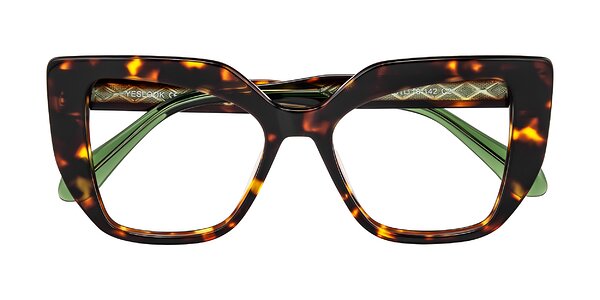 Front of Arctic in Tortoise