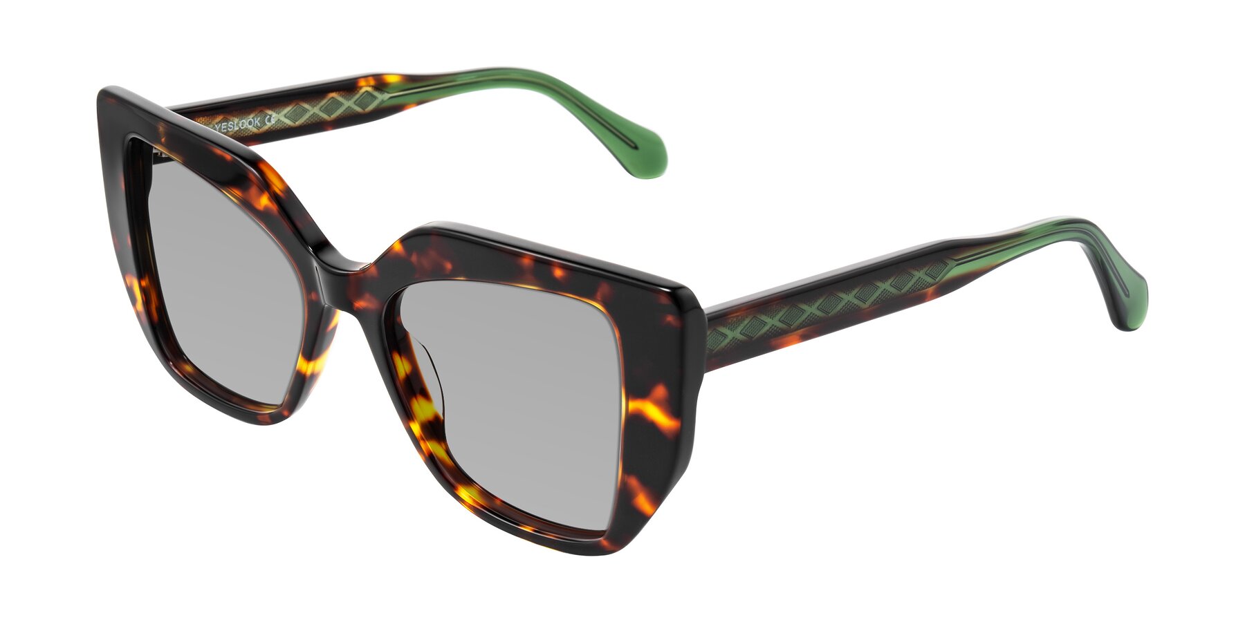 Angle of Arctic in Tortoise with Light Gray Tinted Lenses