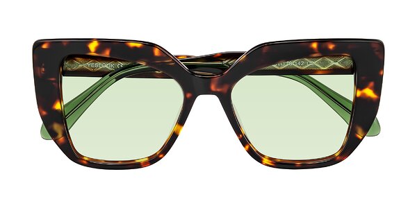 Front of Arctic in Tortoise