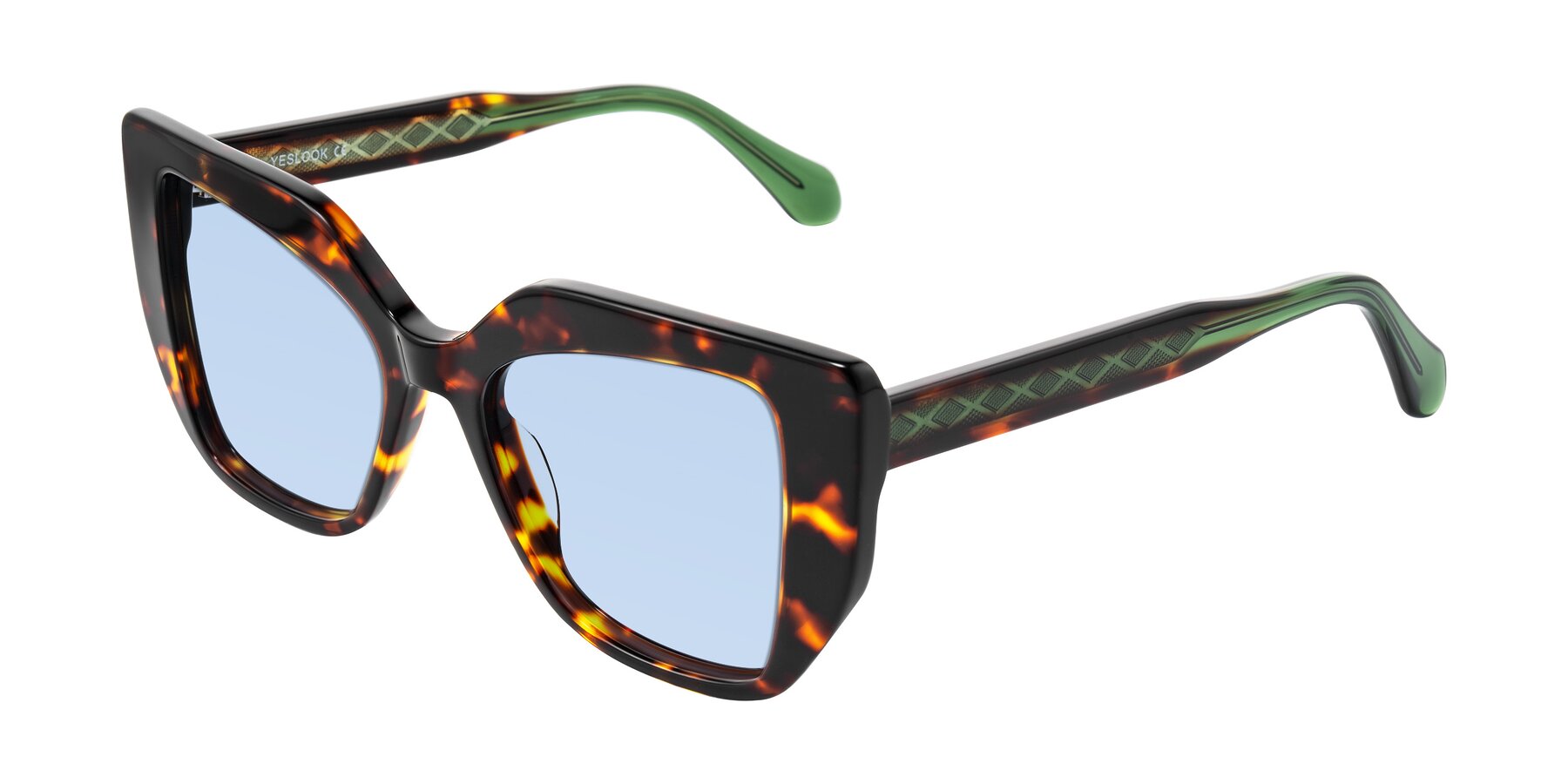 Angle of Arctic in Tortoise with Light Blue Tinted Lenses
