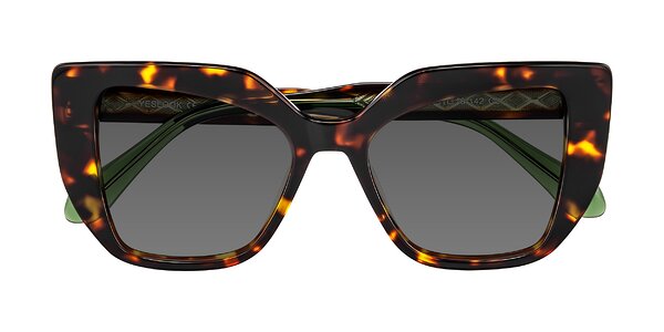 Front of Arctic in Tortoise