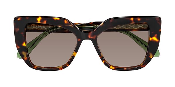 Front of Arctic in Tortoise