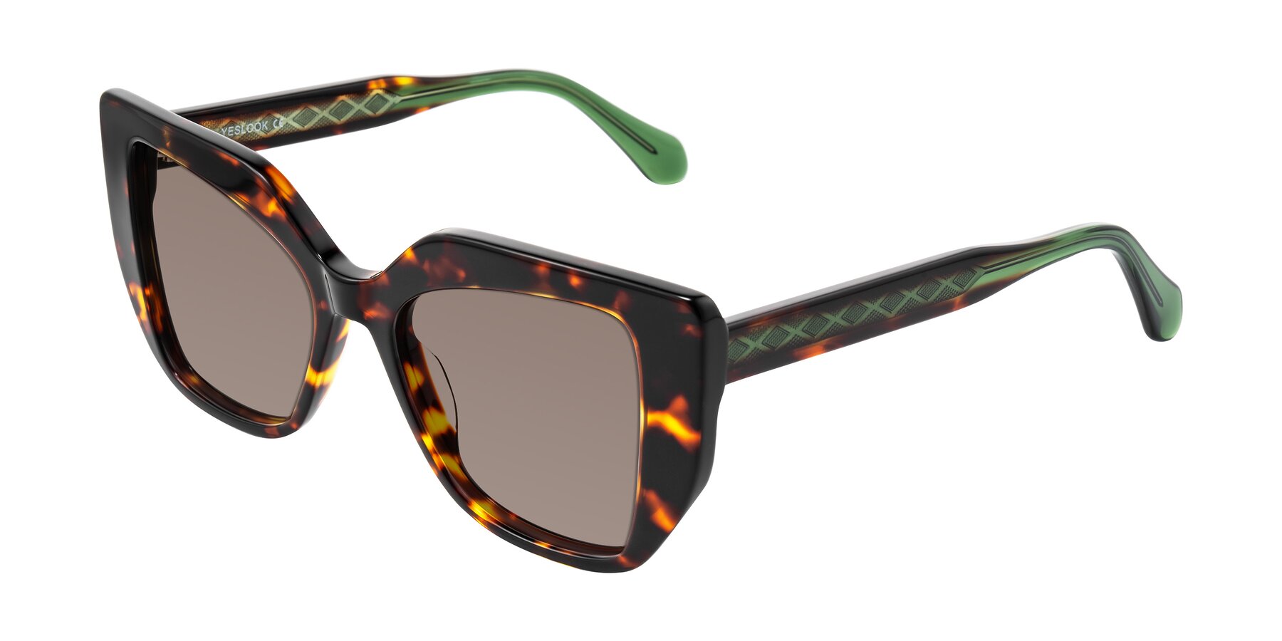 Angle of Arctic in Tortoise with Medium Brown Tinted Lenses