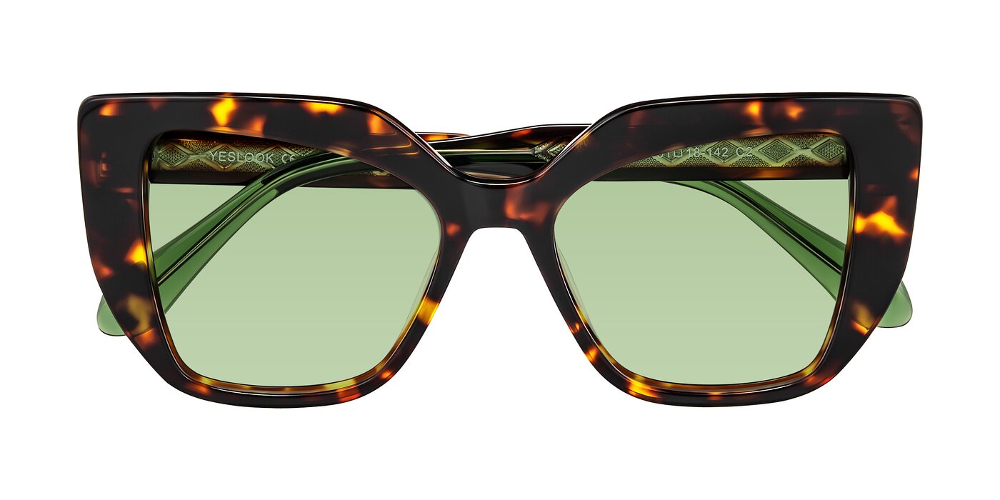 Arctic - Tortoise Tinted Sunglasses