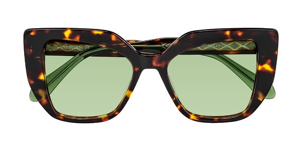 Front of Arctic in Tortoise