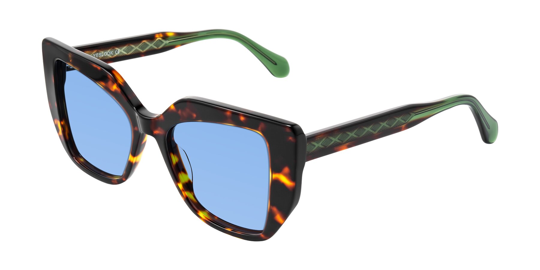 Angle of Arctic in Tortoise with Medium Blue Tinted Lenses