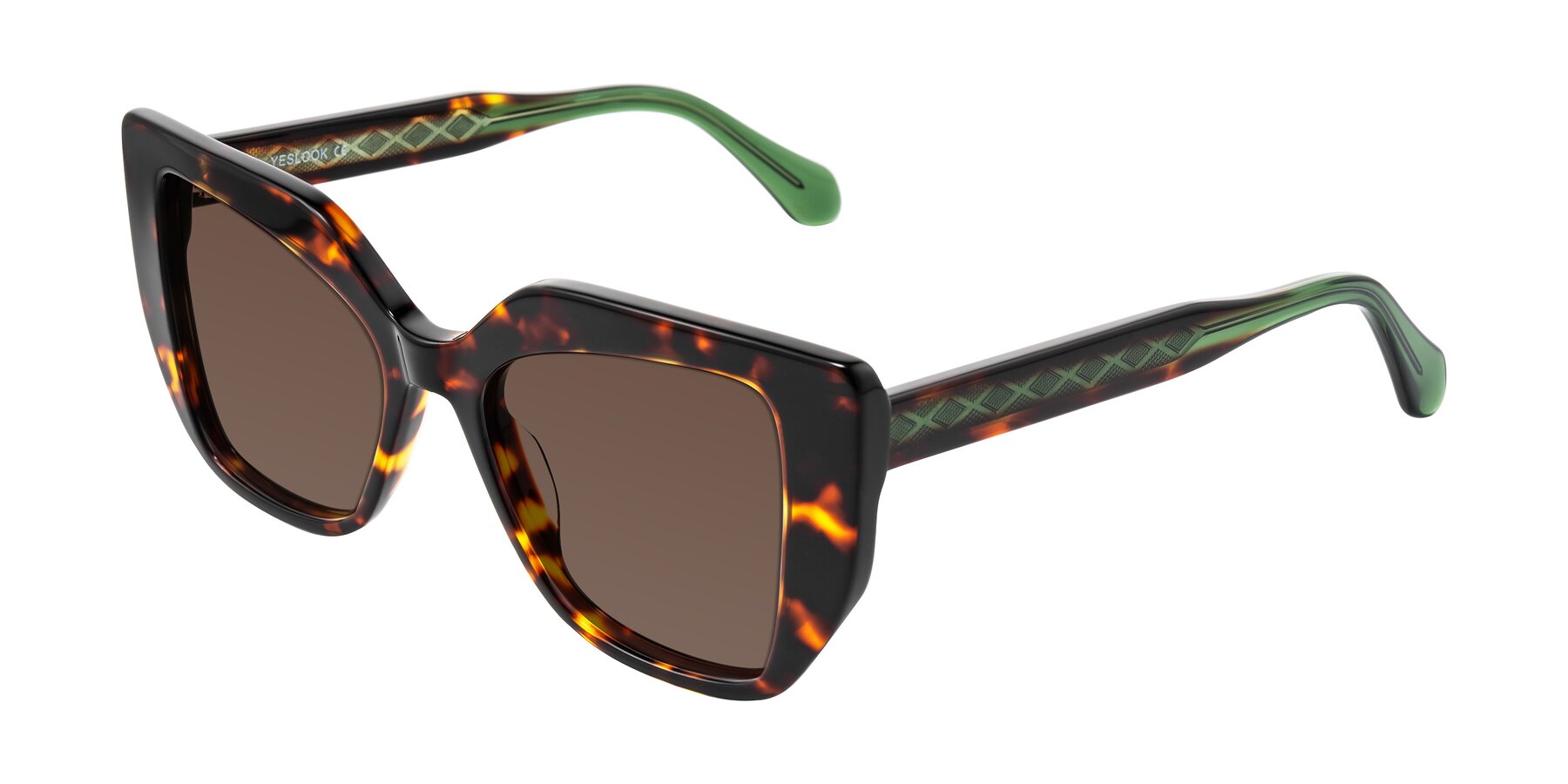 Angle of Arctic in Tortoise with Brown Tinted Lenses