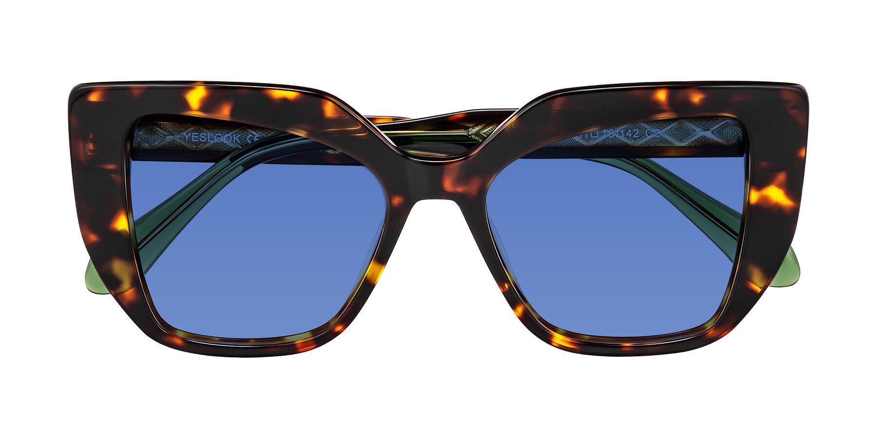 Folded Front of Arctic in Tortoise with Blue Tinted Lenses