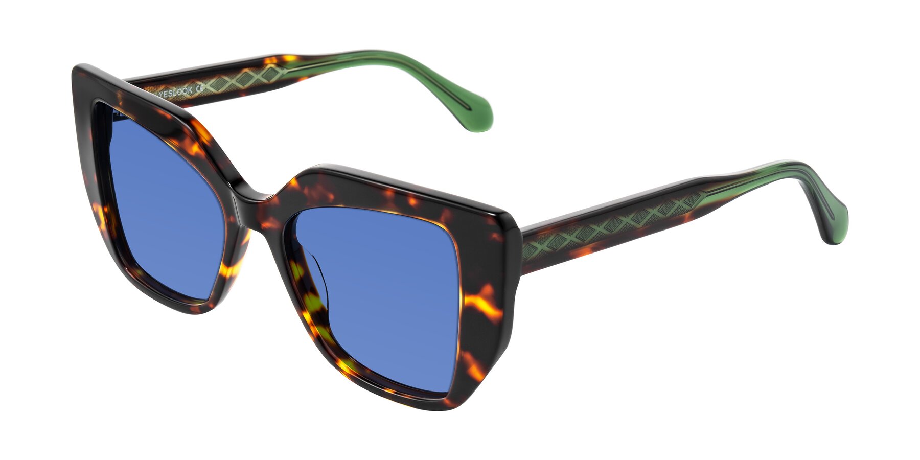 Angle of Arctic in Tortoise with Blue Tinted Lenses