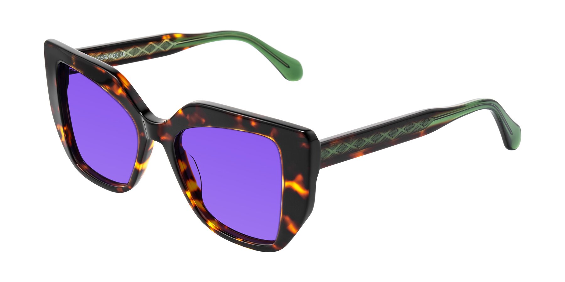 Angle of Arctic in Tortoise with Purple Tinted Lenses