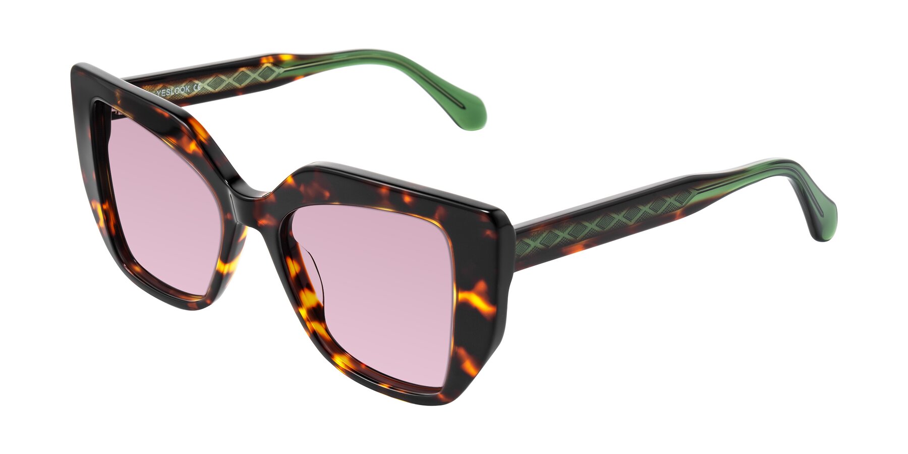 Angle of Arctic in Tortoise with Light Wine Tinted Lenses