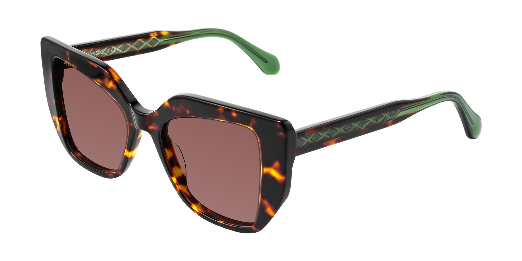Angle of Arctic in Tortoise with Garnet Tinted Lenses