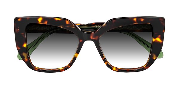 Front of Arctic in Tortoise