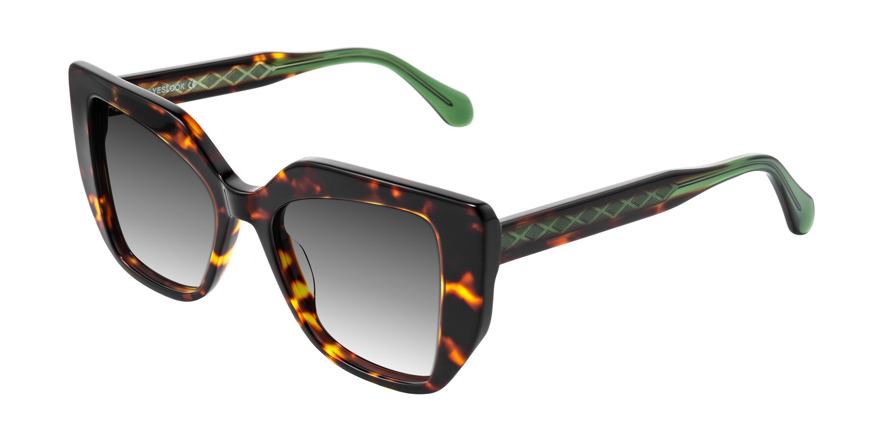 Angle of Arctic in Tortoise with Gray Gradient Lenses