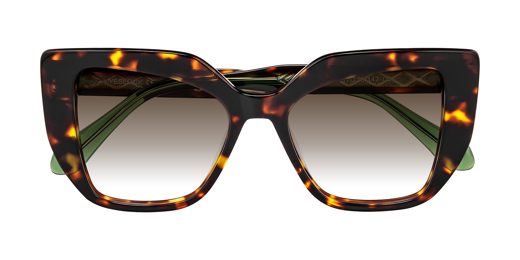 Folded Front of Arctic in Tortoise with Brown Gradient Lenses