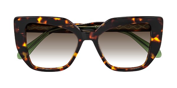 Front of Arctic in Tortoise
