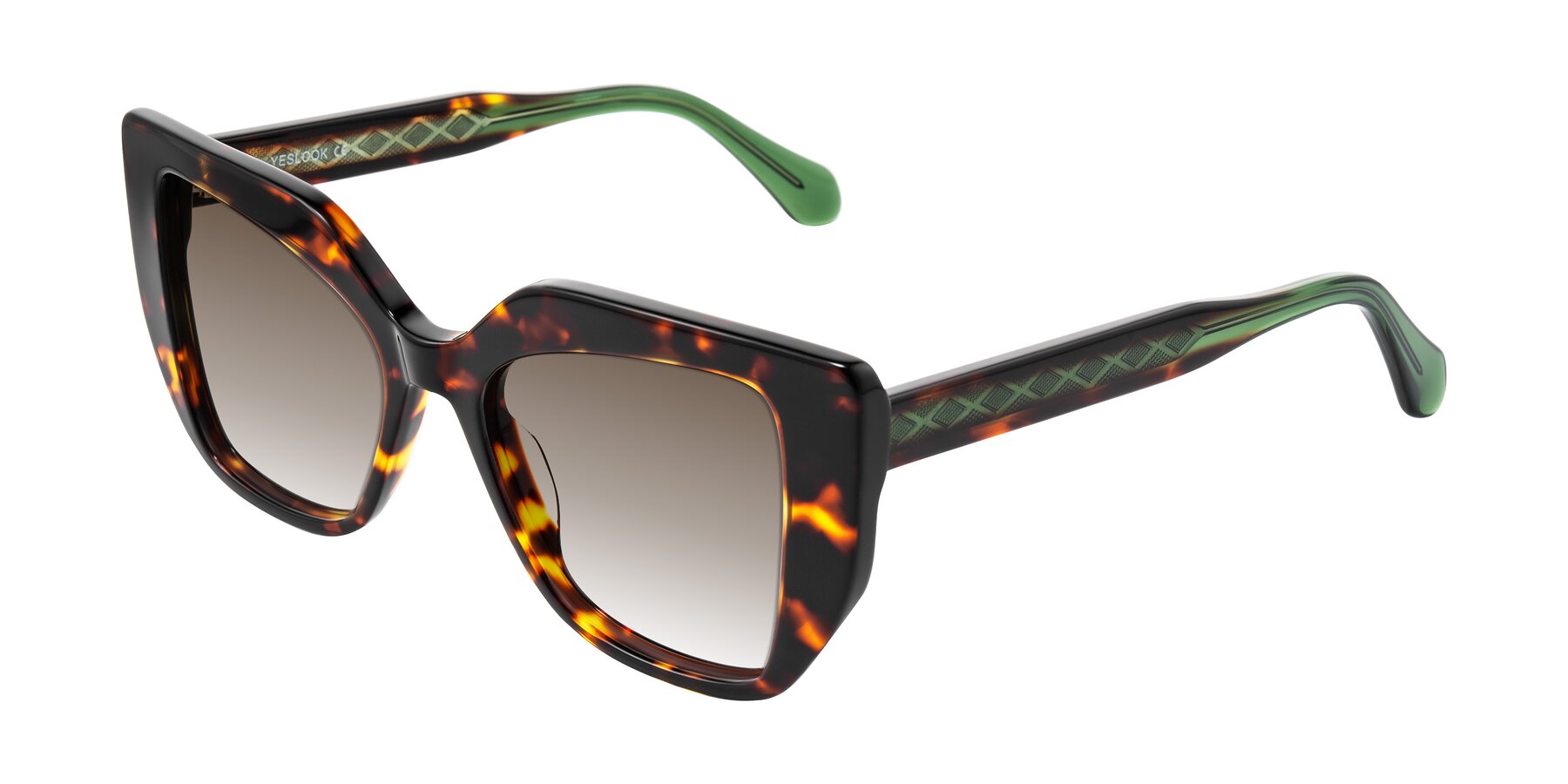 Angle of Arctic in Tortoise with Brown Gradient Lenses