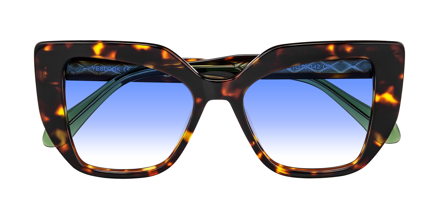 Folded Front of Arctic in Tortoise with Blue Gradient Lenses