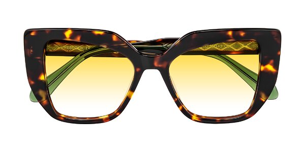 Front of Arctic in Tortoise