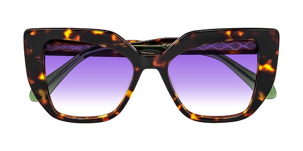 Front of Arctic in Tortoise