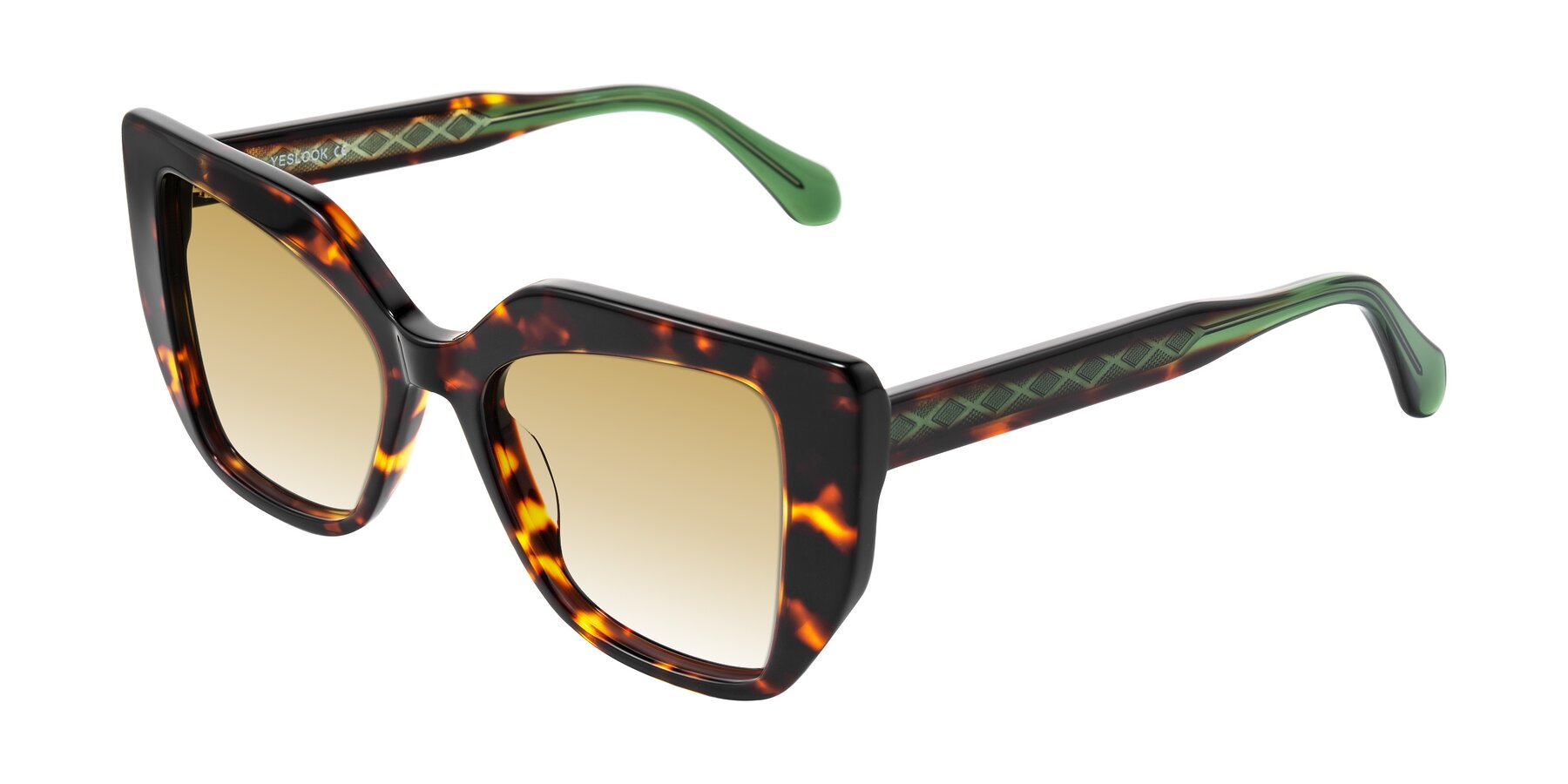 Angle of Arctic in Tortoise with Champagne Gradient Lenses