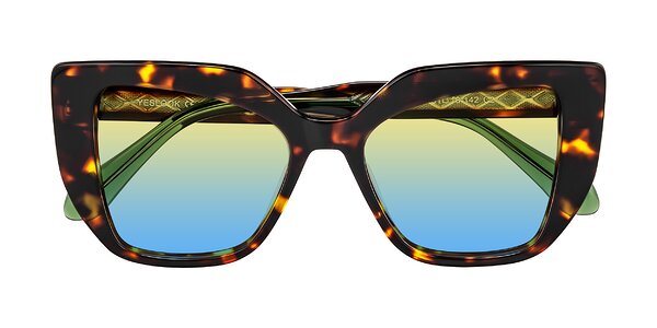 Front of Arctic in Tortoise