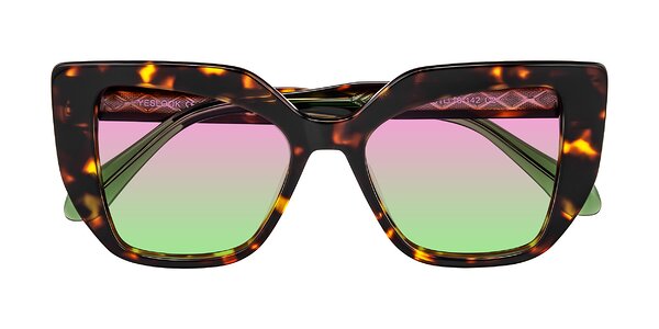 Front of Arctic in Tortoise