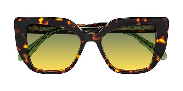 Front of Arctic in Tortoise