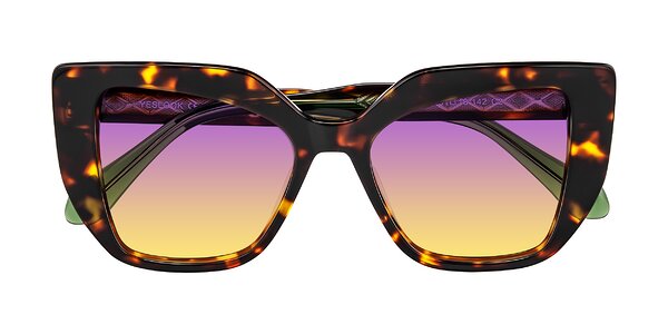 Front of Arctic in Tortoise