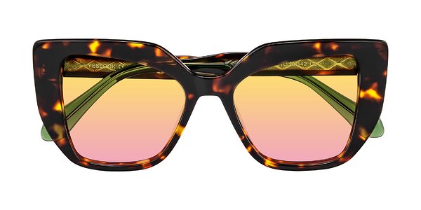 Front of Arctic in Tortoise
