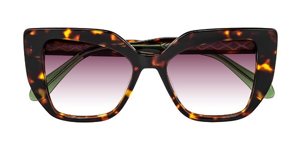 Front of Arctic in Tortoise