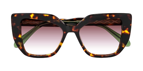 Front of Arctic in Tortoise