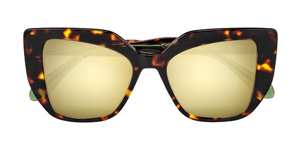 Front of Arctic in Tortoise
