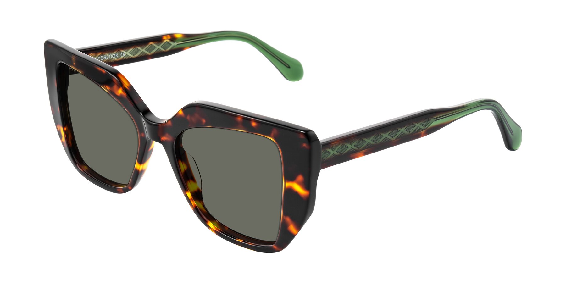 Angle of Arctic in Tortoise with Gray Polarized Lenses