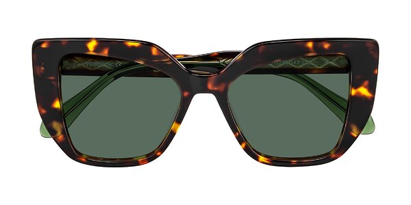 Front of Arctic in Tortoise
